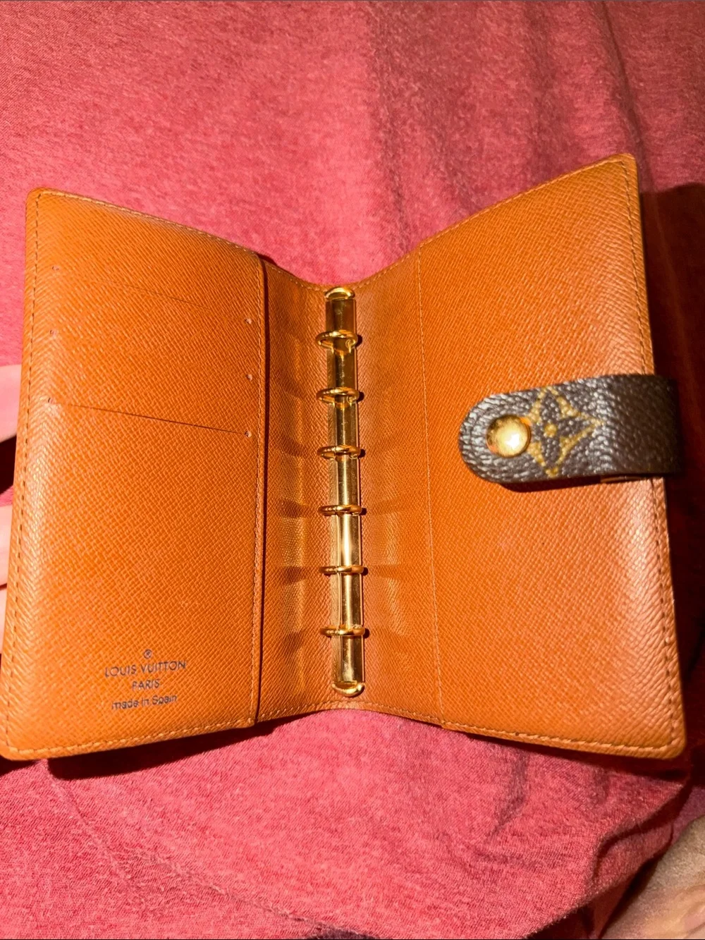 Louis Vuitton iconic louis